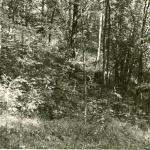 Zokorių piliakalnis. J. Nemanio nuotrauka, 1988 m.