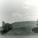 Vosgėlių piliakalnis. J. Nemanio nuotrauka, 1979 m.