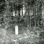Kiemionių piliakalnis. J. Nemanio nuotrauka, 1974 m.