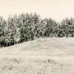 Pakalniškių piliakalnis. J. Nemanio nuotrauka, 1973 m.