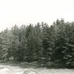 Liaudiškių piliakalnis. J. Nemanio nuotrauka, 1978 m.