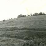 Mineikiškių piliakalnis.