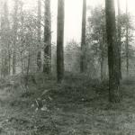 Paežerinės pilkapiai. J. Nemanio nuotrauka, 1984 m.