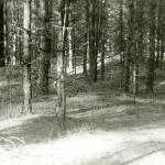 Subatiškių pilkapiai. J. Nemanio nuotrauka, 1974, 1978 m.