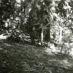 Degučių pilkapiai II. J. Nemanio nuotrauka, 1981 m.