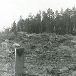 Avinuostos pilkapiai I. J. Nemanio nuotrauka, 1978 m.