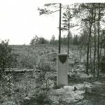 Čepeliškių pilkapiai I. J. Nemanio nuotrauka, 1980 m.
