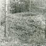Samaukos pilkapynas. J. Nemanio nuotrauka, 1983 m.