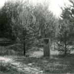 Kraštų senkapis. J. Nemanio nuotrauka, 1980 m.