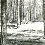Gailiutiškės pilakpiai. J. Nemanio nuotrauka, 1976 m.