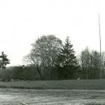 Liaudiškių senkapis. J. Nemanio nuotrauka, 1980 m.